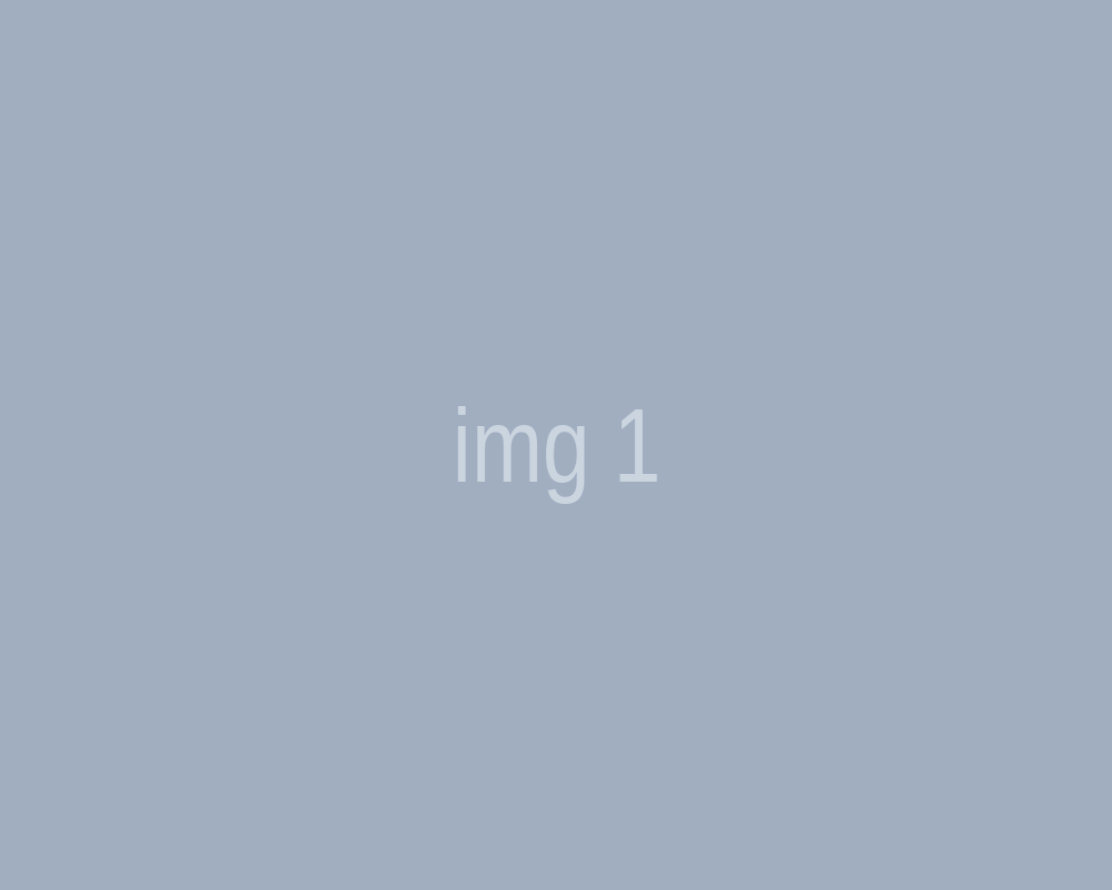 img 1